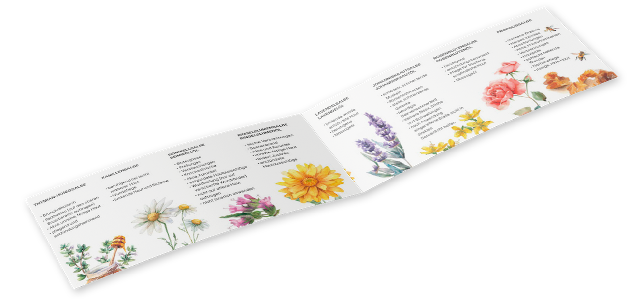 Flyer Salben – innen